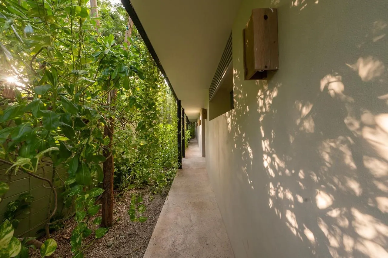 Casa Marisol Apartment Tulum